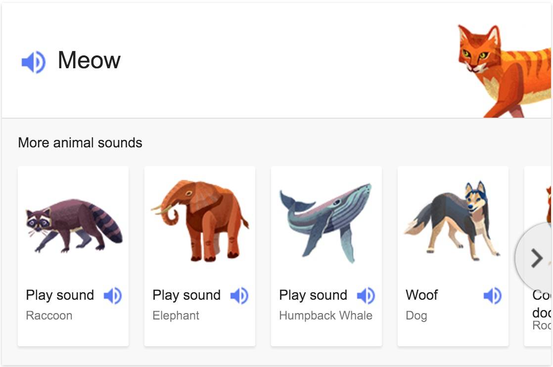 Discover animal sounds just for fun through google search
