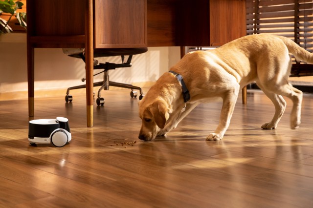Exciting News for Pet Owners: Enabot Rolls Out ROLA PetPal & ROLA PetTracker - Vimarsana News