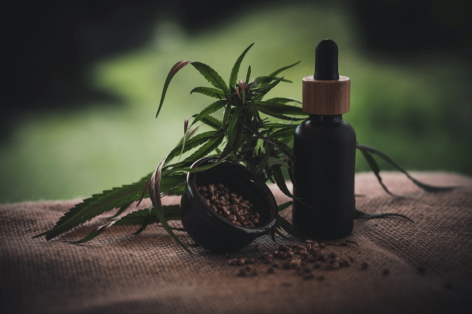 Why Should You Buy CBD Oil From Authentic Vendors?