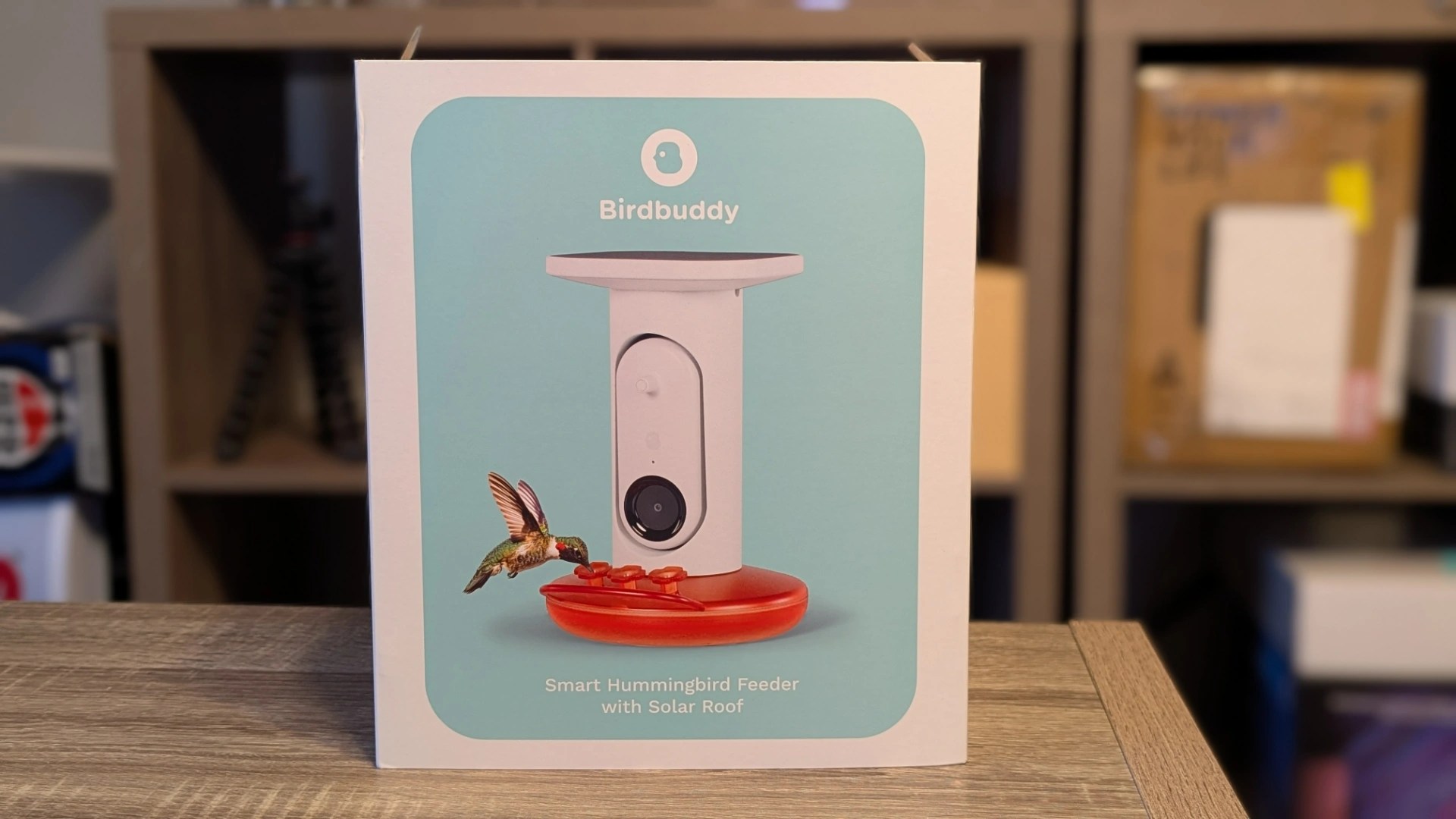 Your Backyard’s New Favorite Gadget for Feathered Friends