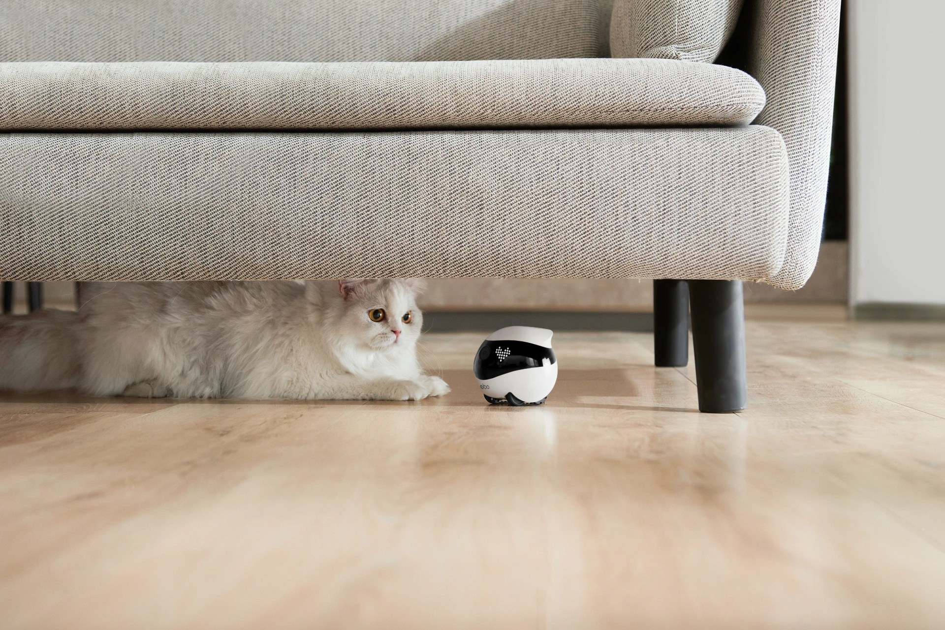 Enabot Launches EBO Air 2: A Smart Home Robot for Security and Pet Interaction