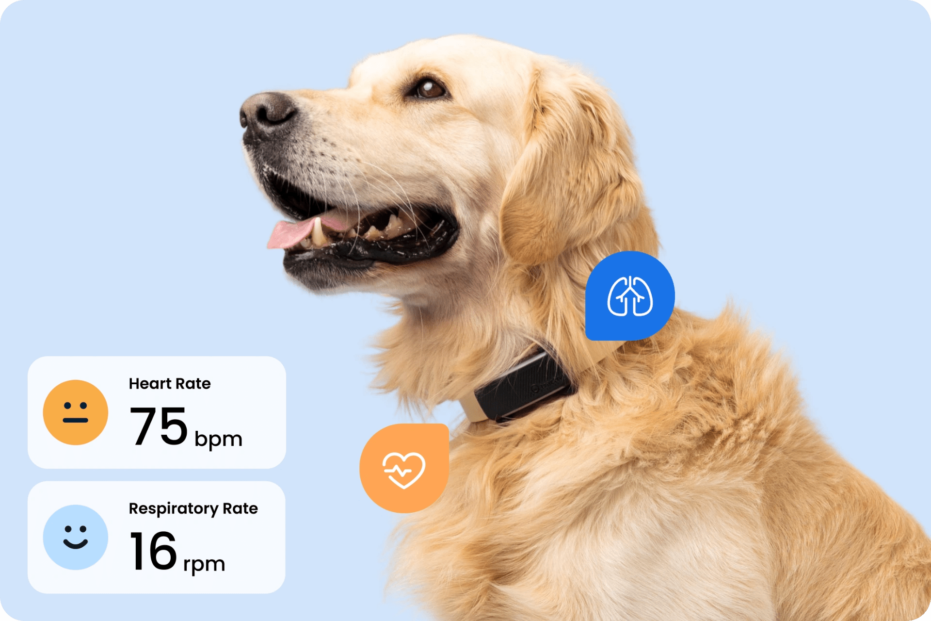 Tractive Adds Heart and Respiratory Rate Tracking to Keep Dogs Healthier and Owners Smarter