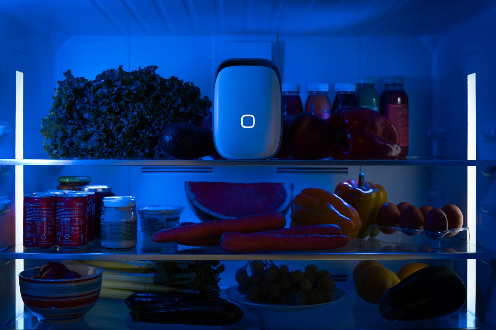 Vitesy’s Upgraded Shelfy Lands at IFA Berlin