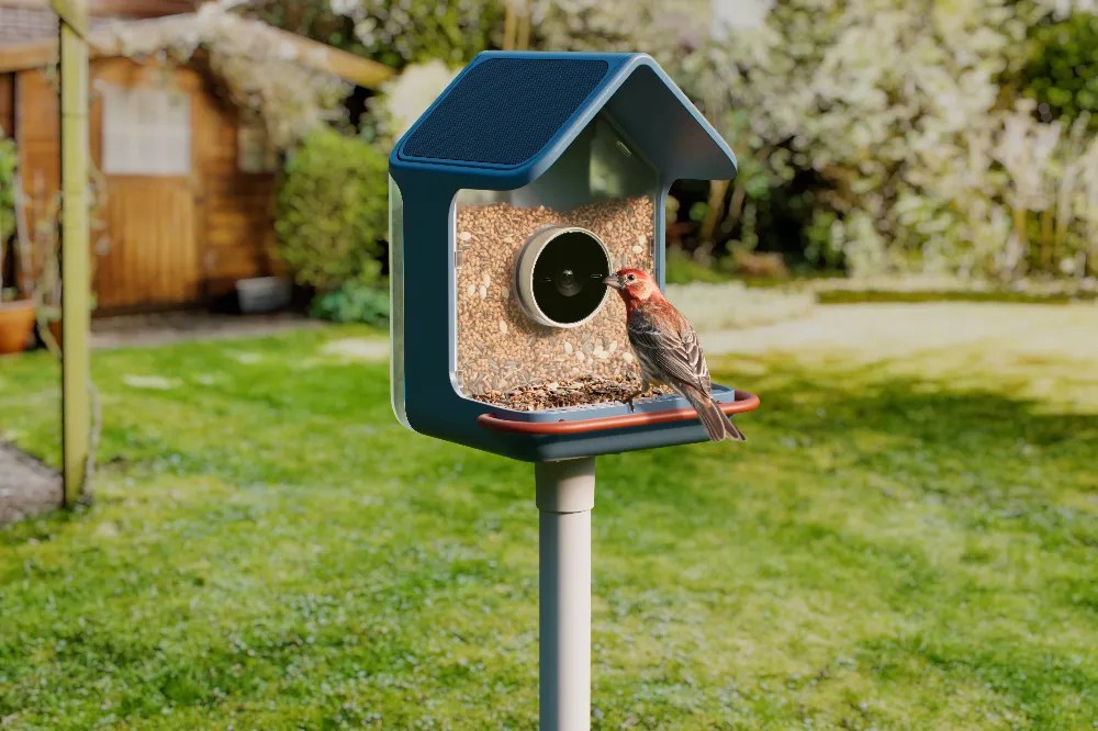 androidguys.com - Birdbuddy Launches Next-Gen Smart Bird Feeders with Enhanced AI and Solar Power at CES 2026