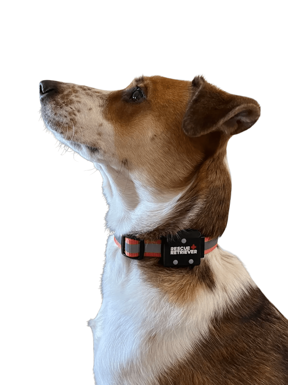 Rescue Retriever Launches FireTag Smart Pet Collar at CES 2026 to Help Firefighters Save Animals During House Fires