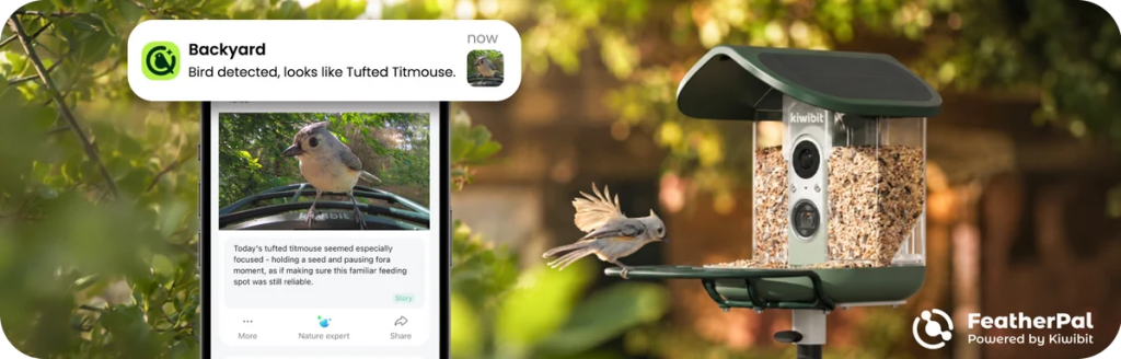 Image of a bird feeder in a backyard, with a Tufted Titmouse perched on the edge and a smartphone displaying bird identification details.