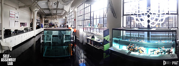 SelfAssemblyLab_Photo