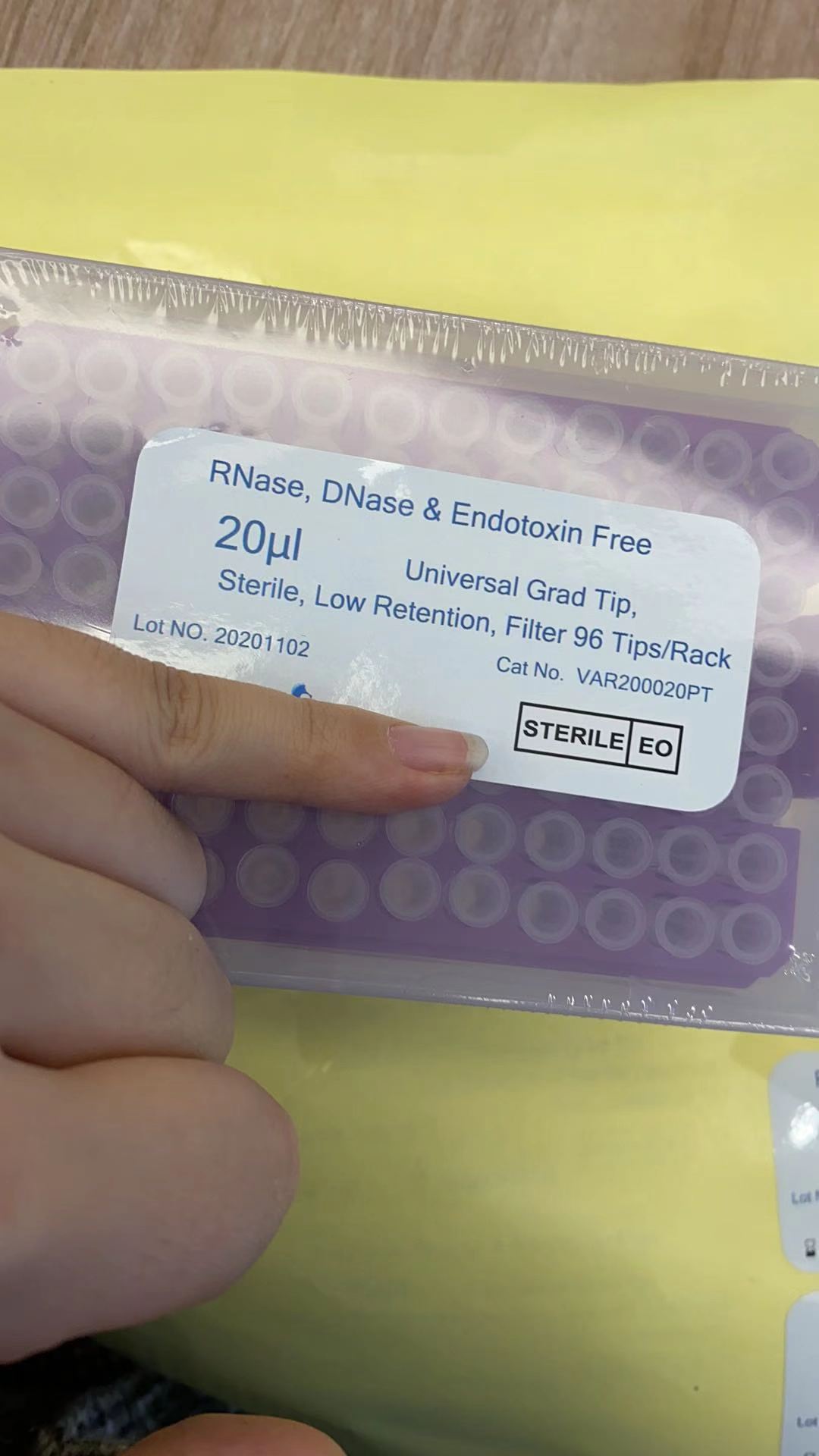 20ul Pipettes Tips - Image 5