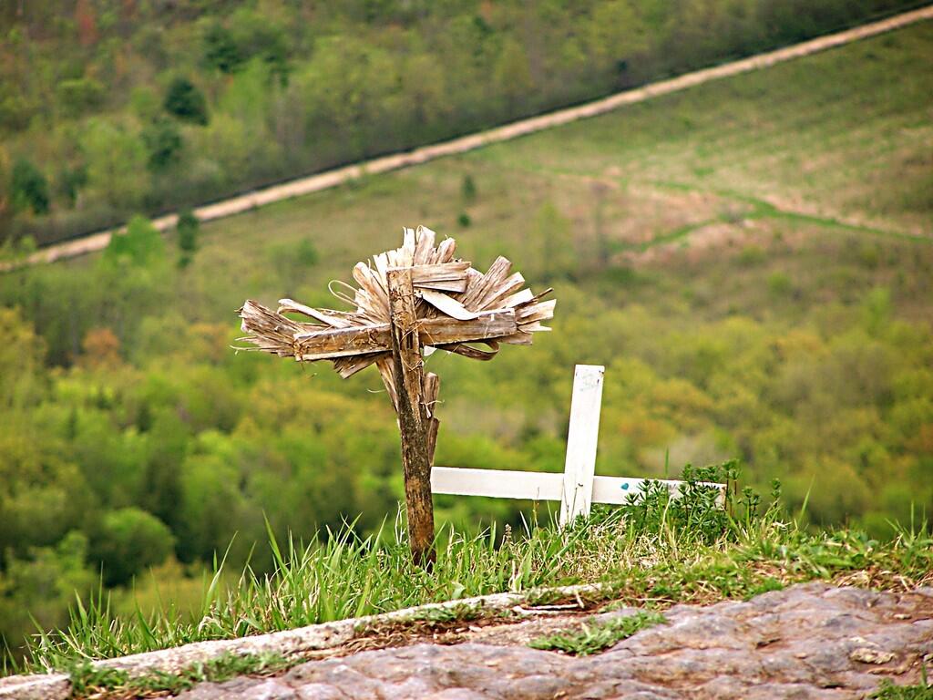 Crosses