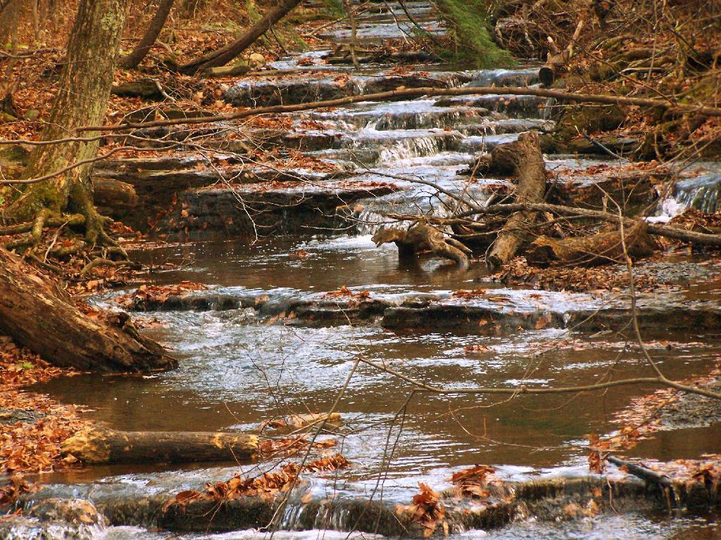 Paint Mine Creek