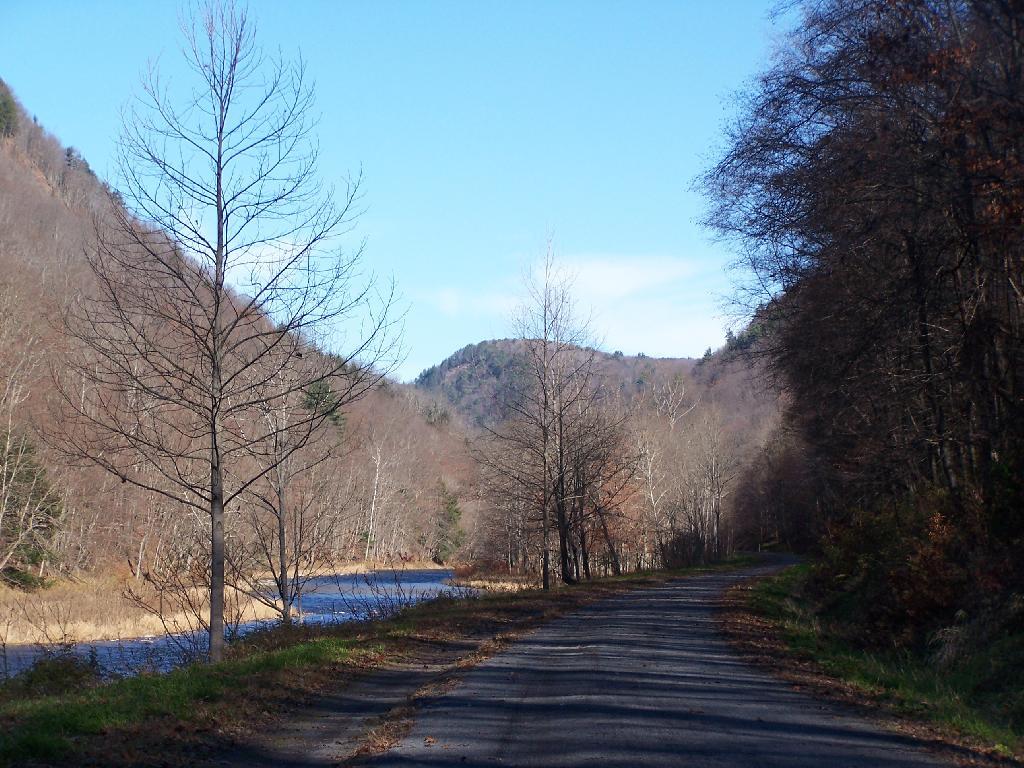 Inside the Pine Creek Gorge