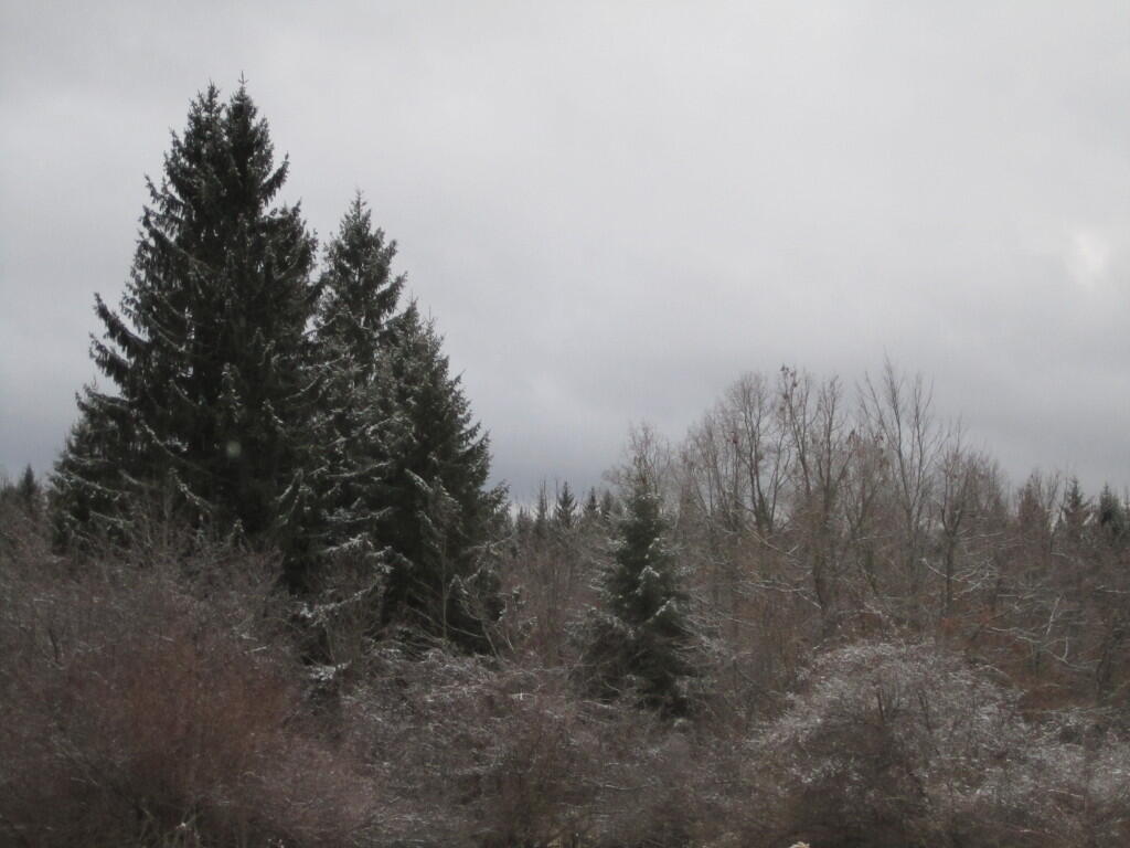 Along Bradt Hollow Road