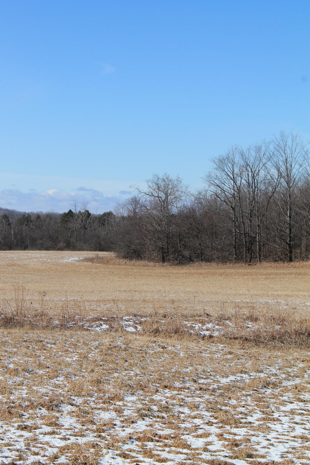 Fields
