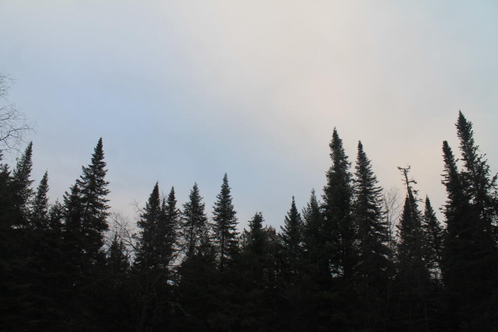 Clearing Skies?