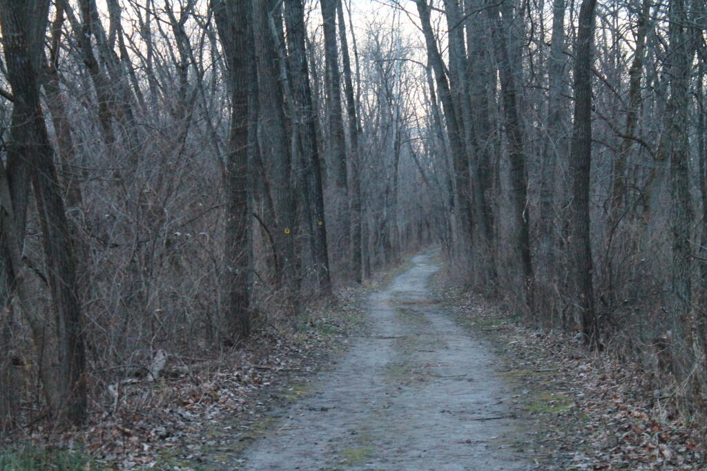Yellow Trail