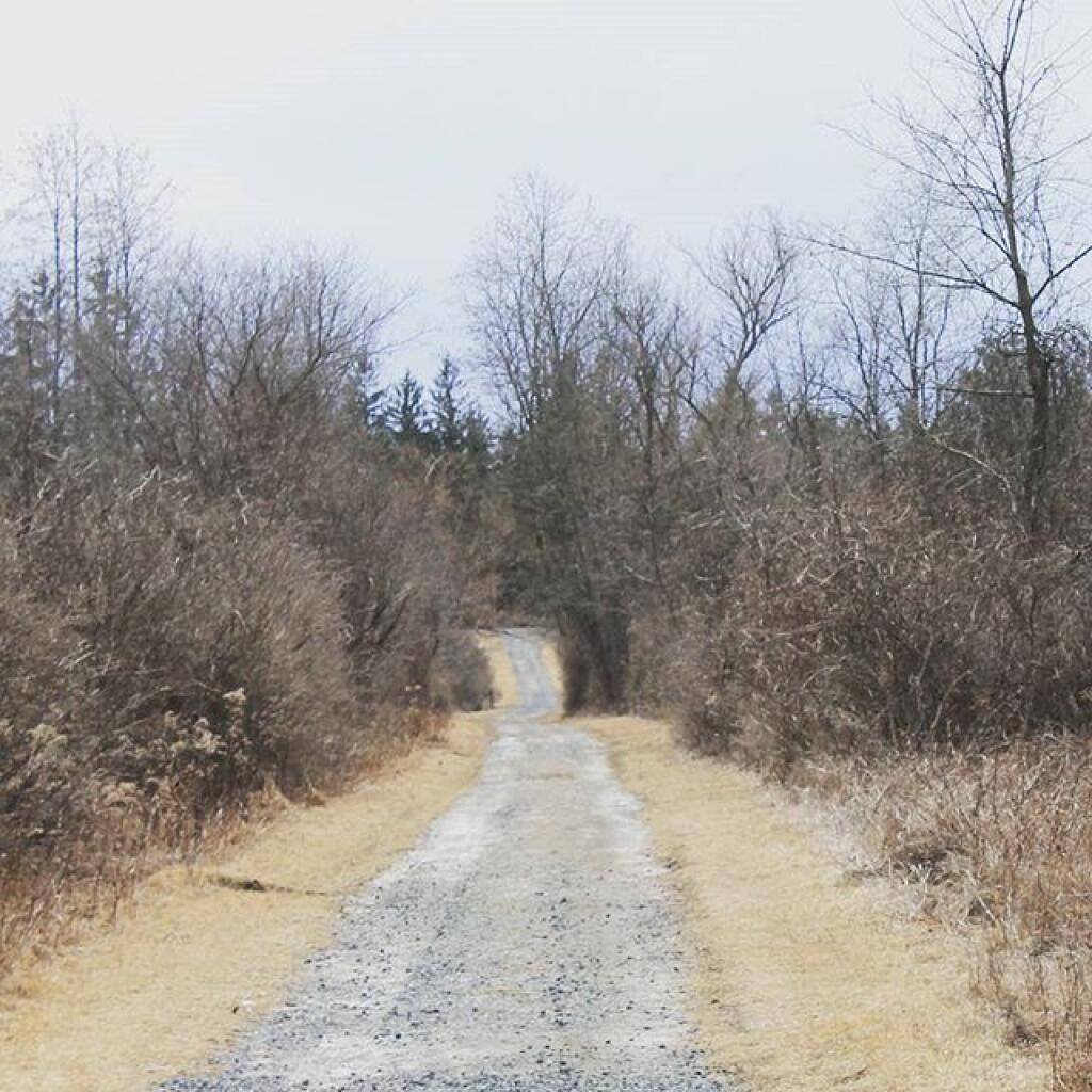 Access road