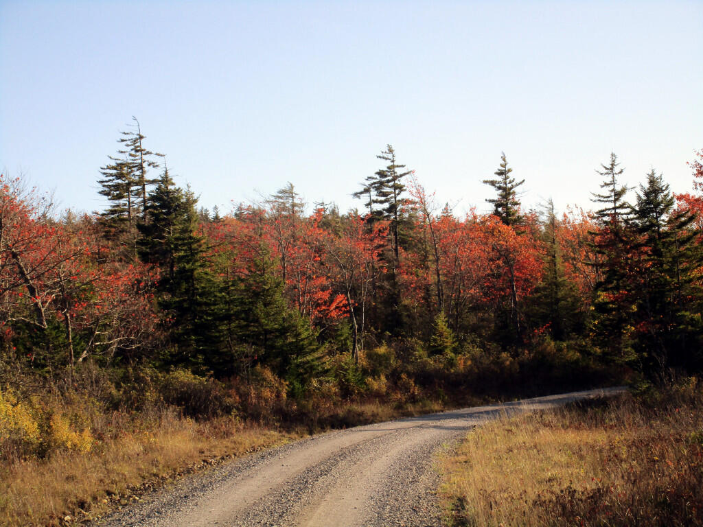  Gravel Road