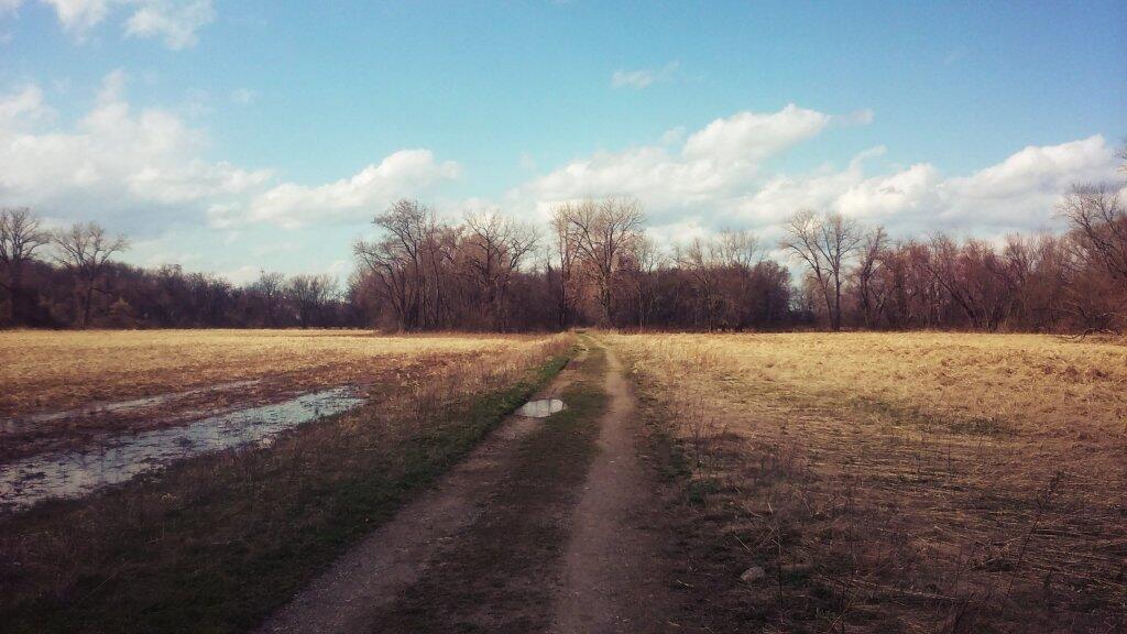 Roadway