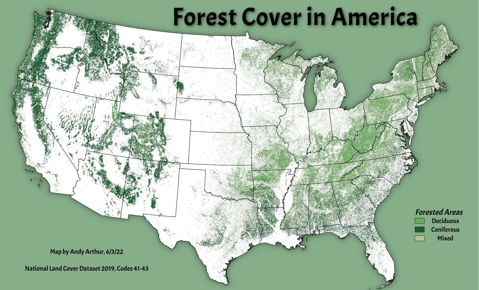 Unveiling The US Forest Map A Seasonal Guide Photo 007380 C 
