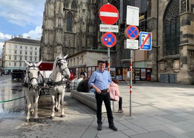 Photo of person standing in front of horse drawn carriage in Vienna Stephansplatz.