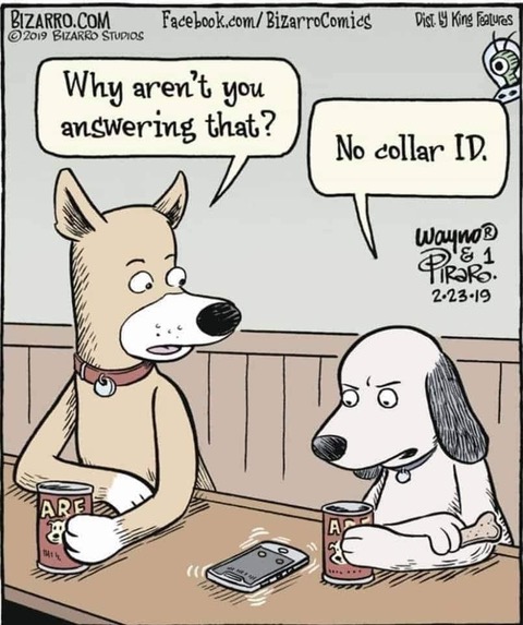 Dad Jokes