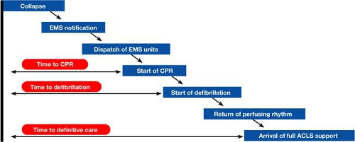 Defibrillation Failed Whats Next The Crucial Steps - pjzlyej
