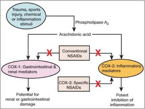 Nonsteroidal Anti-inflammatory Drugs | Anesthesia Key