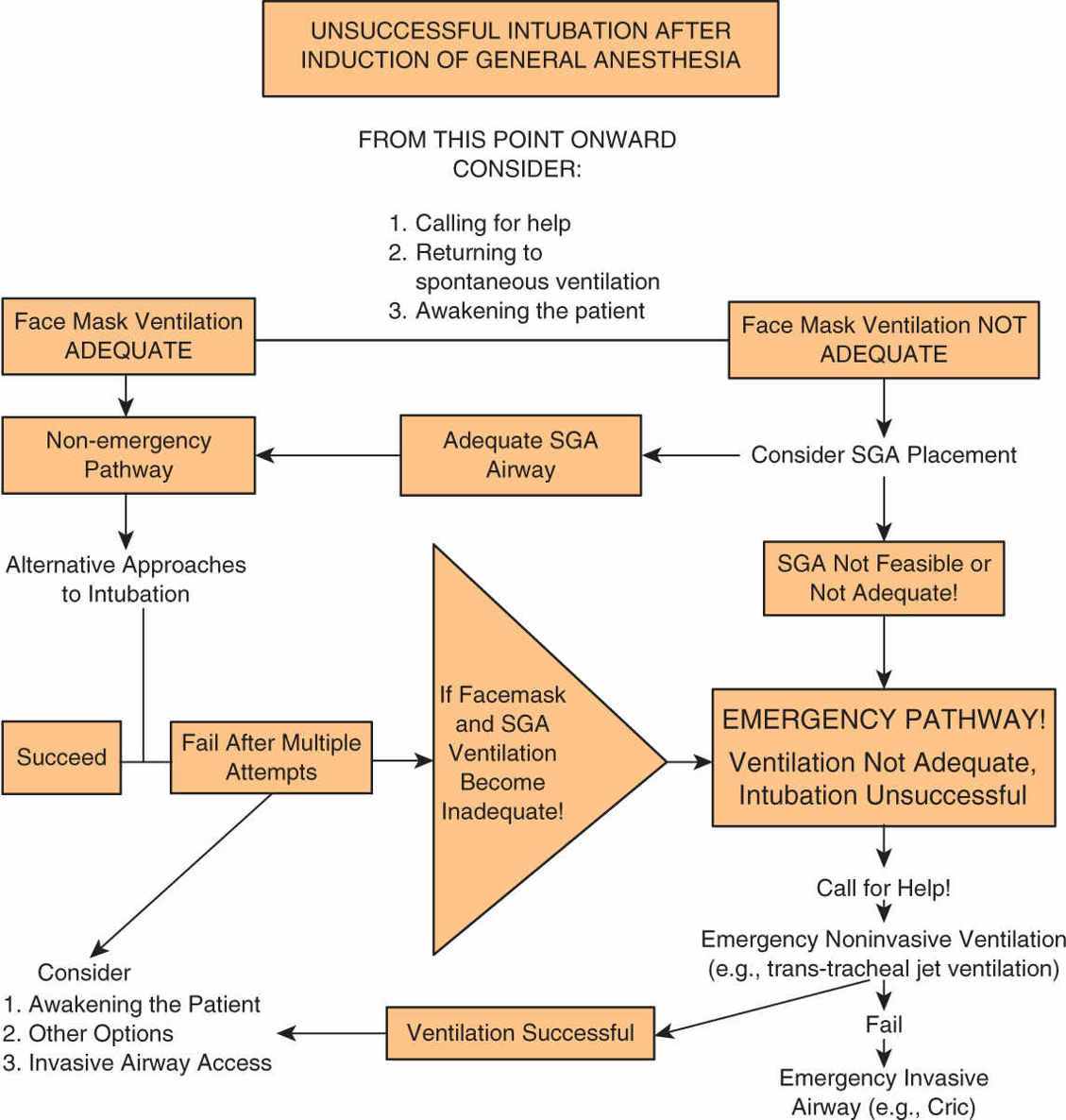 Airway Management Anesthesia Key