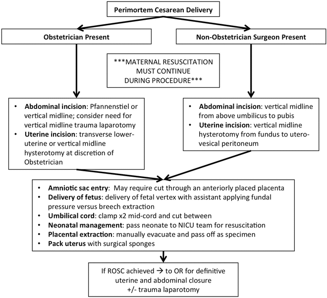 Trauma in Pregnancy | Anesthesia Key