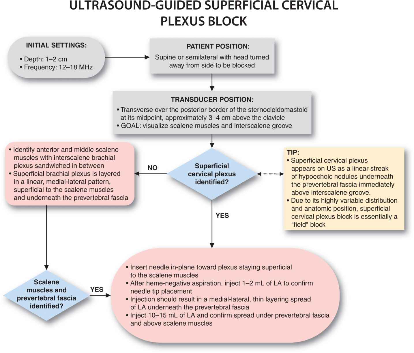 UltrasoundGuided Cervical Plexus Block Anesthesia Key