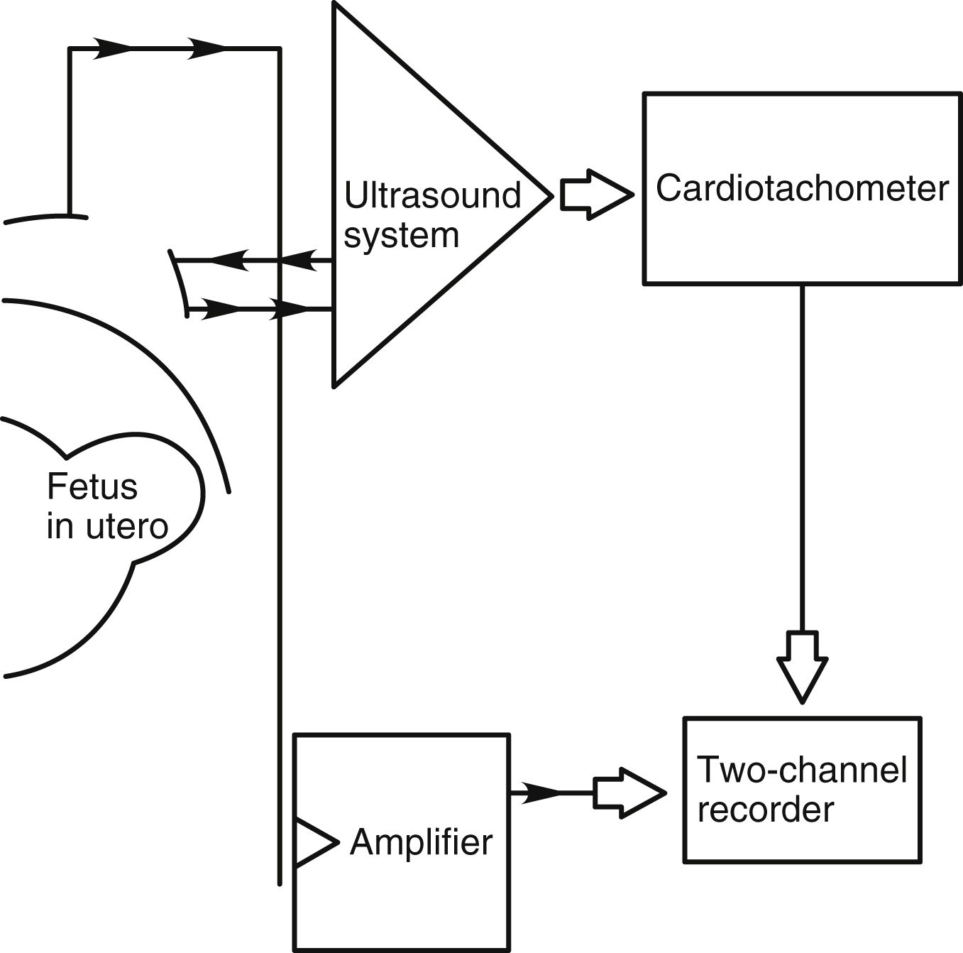 Care of the Pregnant Patient Anesthesia Key