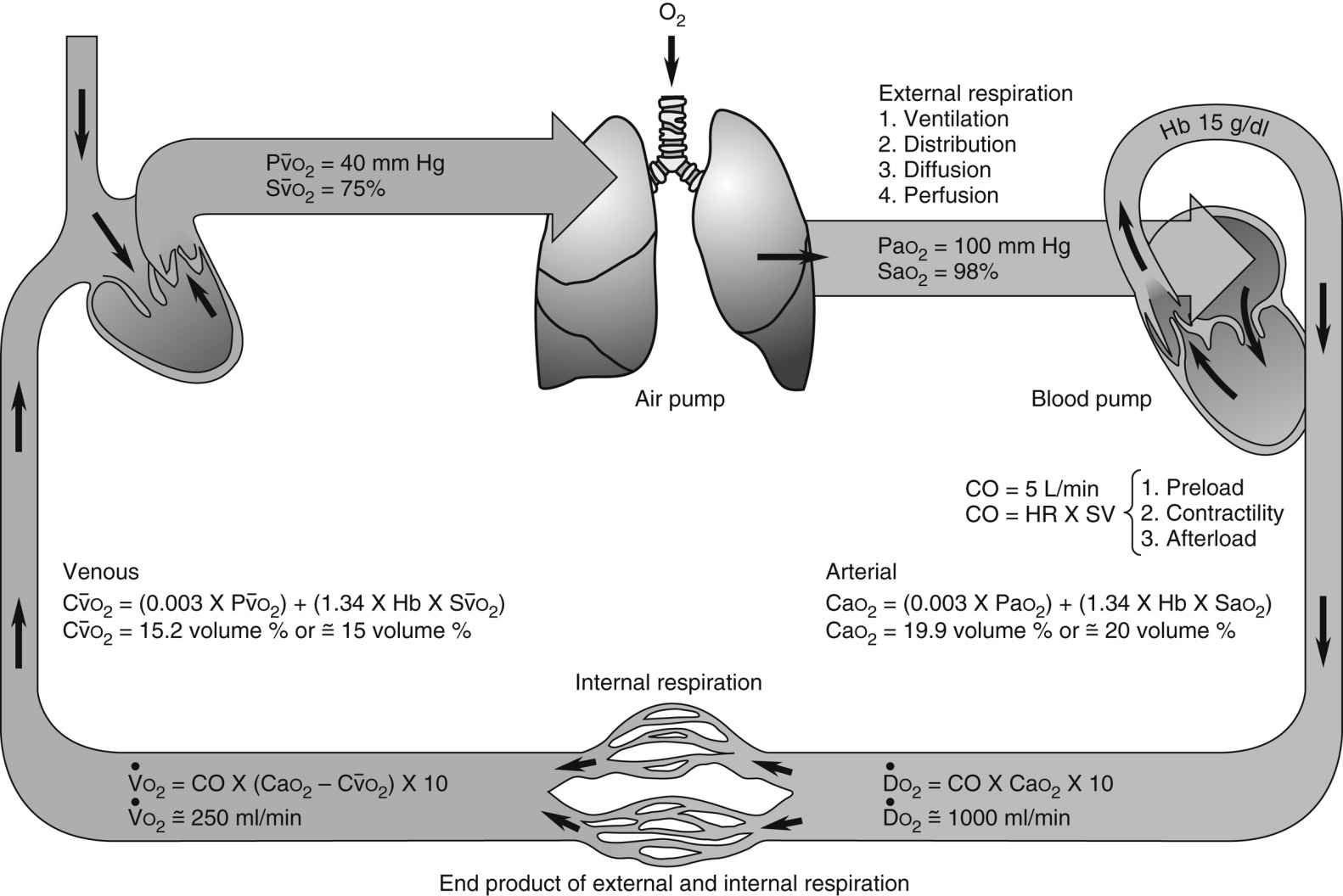 Care of the Intensive Care Unit Patient in the PACU | Anesthesia Key