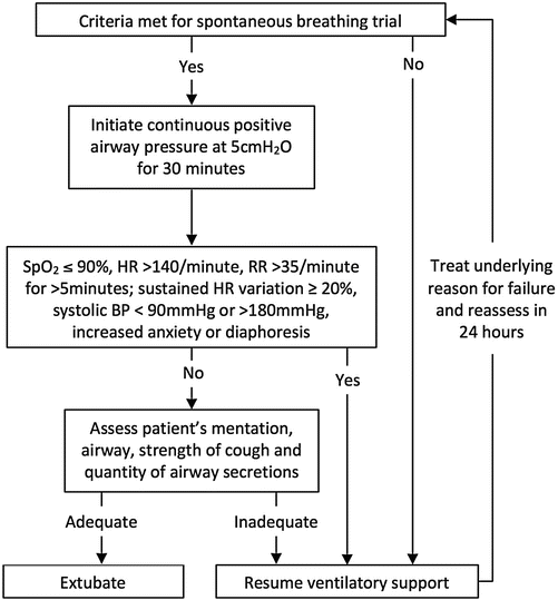 Weaning from Mechanical Ventilation Anesthesia Key