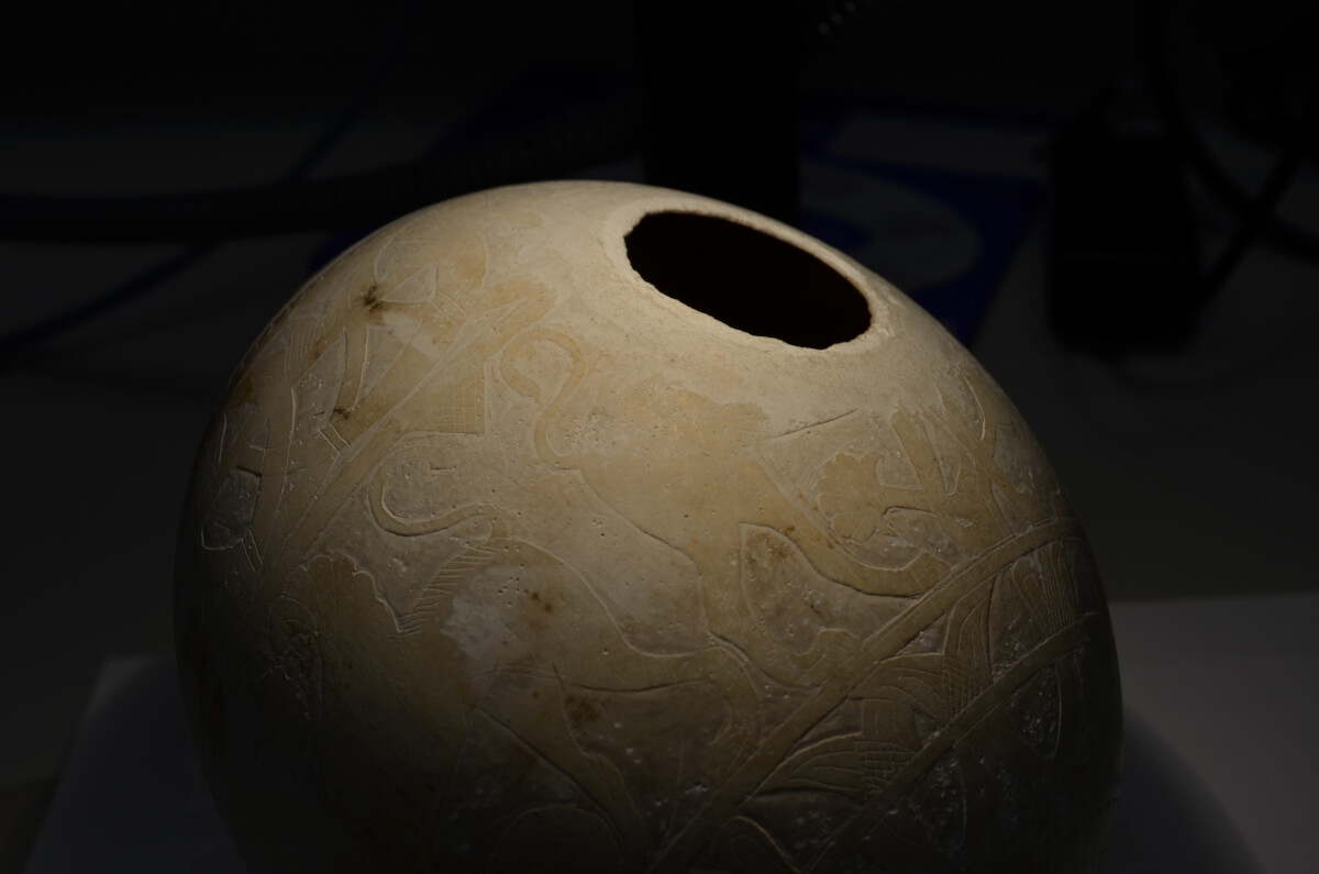 Eggstraordinary Objects