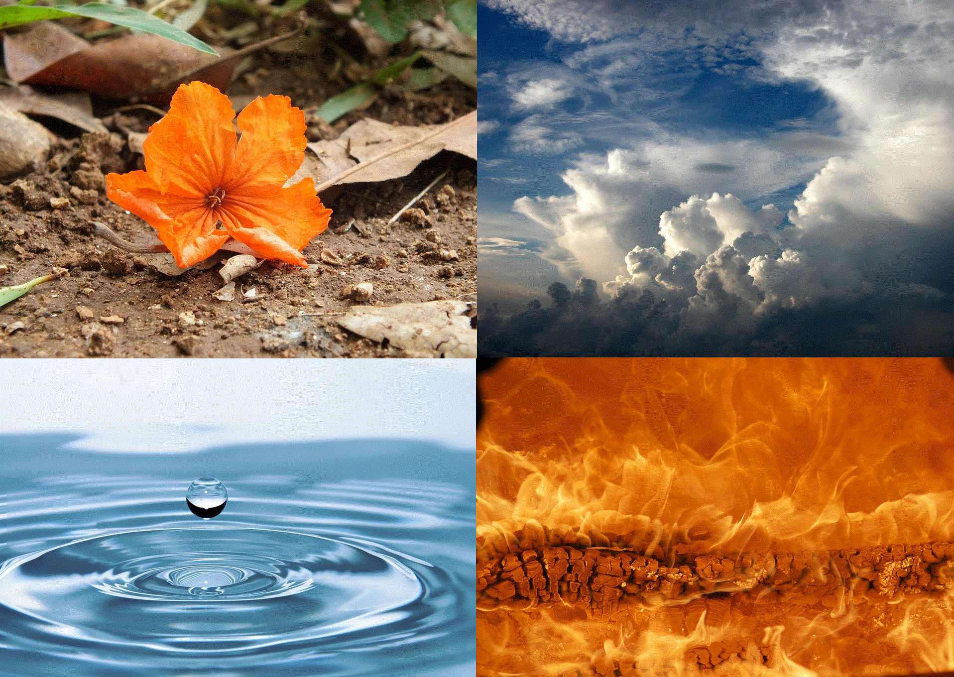 The 4 Elements – NEW VIDEO BY KARNI ZOR