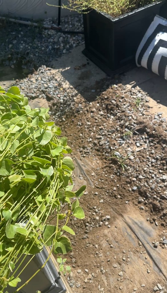 DIY Garden Pathway Makeover with Easihold