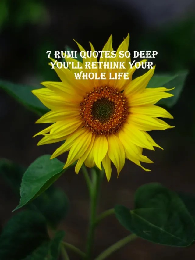 RUMI Quotes about love