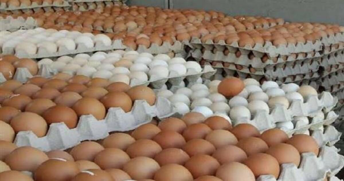 من 1.60 إلى 1.70 درهم للبيضة.. أسعار البيض تلتهب مع بداية رمضان