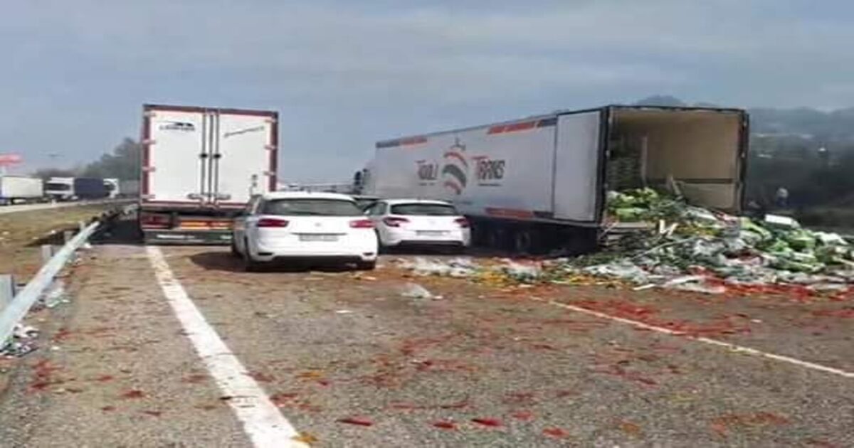 الطماطم تحت القصف والبطيخ في مرمى النيران.. حملة فرنسية تستهدف فلاحة الصحراء