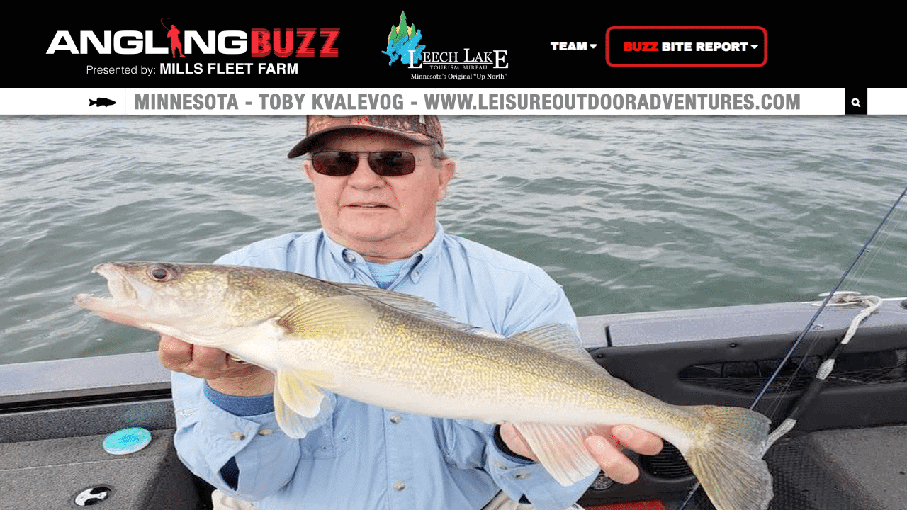Leech Lake (MN) Fishing Report Toby Kvalevog AnglingBuzz