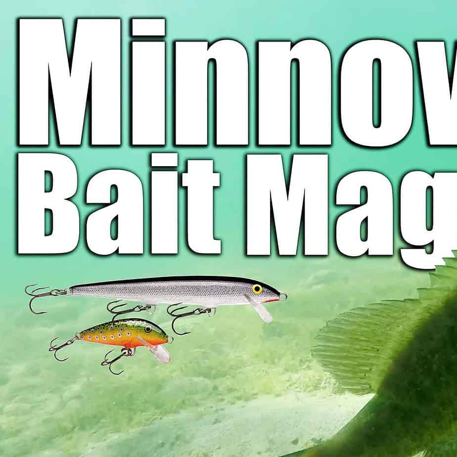 ANGLING BUZZ SHOW 3 MINNOW BAIT MAGIC AnglingBuzz