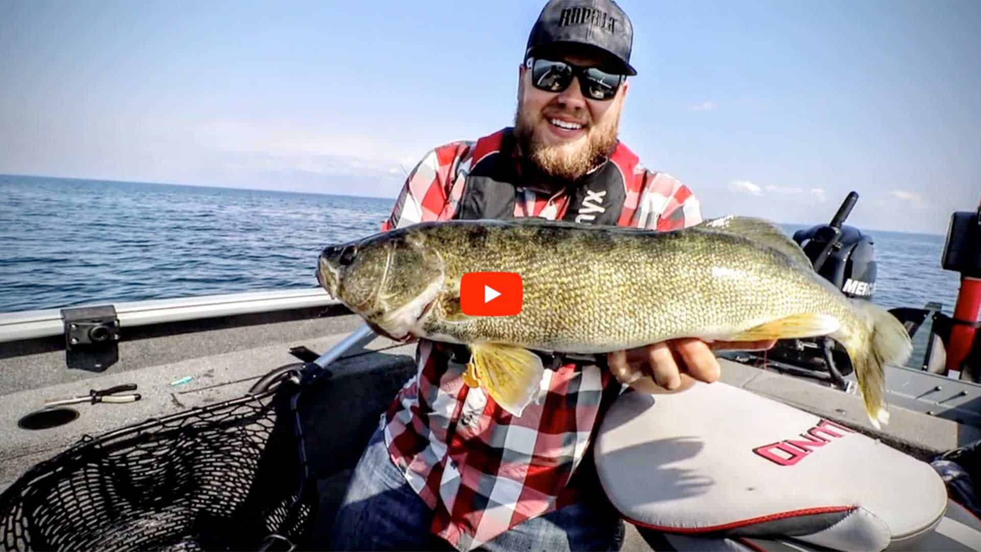 Target Walleye Angling Edge