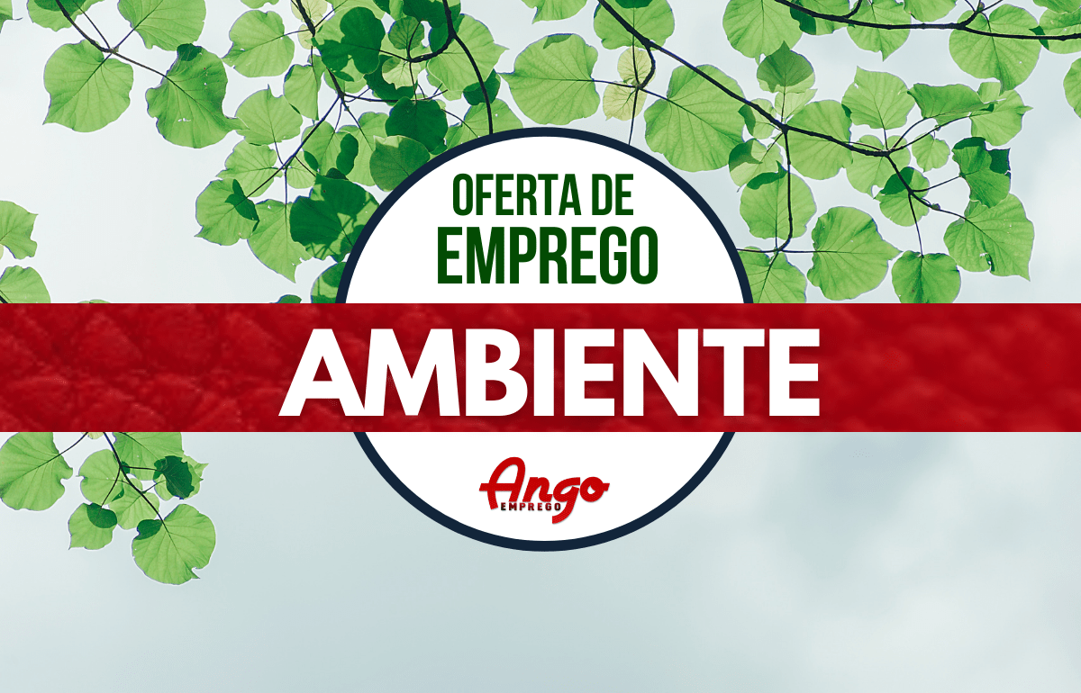 Técnico ambiental