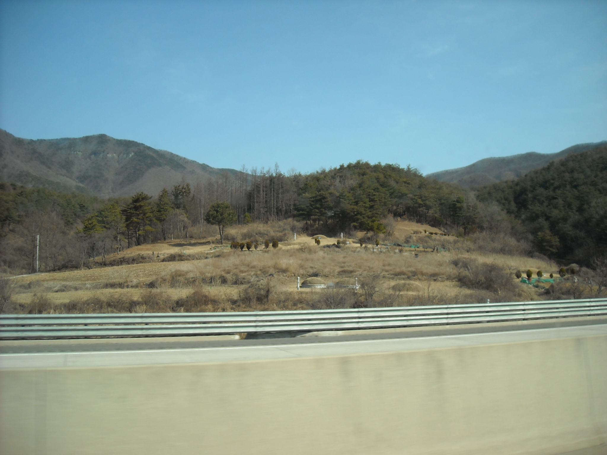 Burial mounds. I was told the families have to pay money each decade (?) so they basically rent the sites? No money- diggem up.