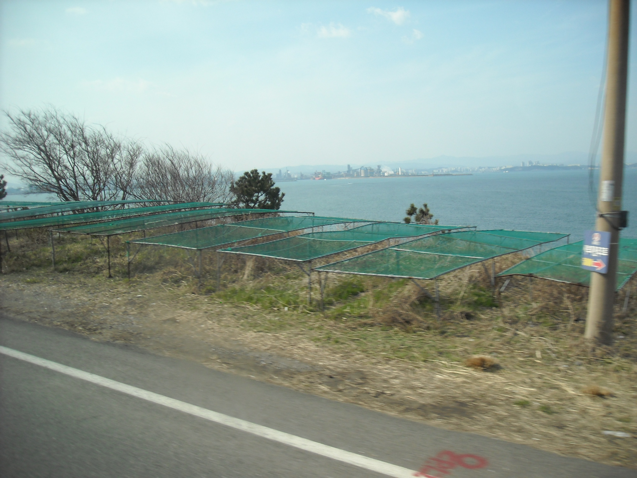 Drying racks? Coastal, so it seems likely...