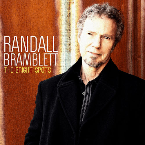 The Bright Spots (2013)