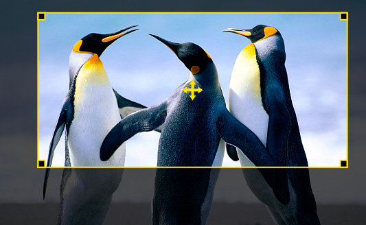 An Image Cropping Tool For AngularJS | Angular Script