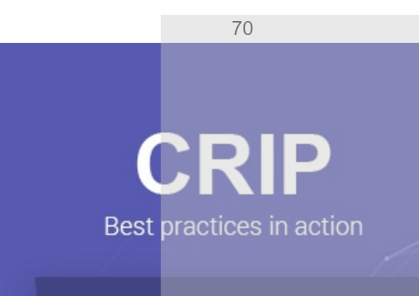 Angular Transparent Progressbar Directive | Angular Script