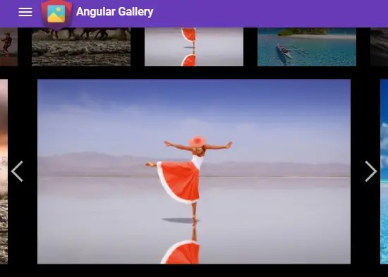 Beautiful Gallery With Angular And Ionic - ngx-gallery | Angular Script