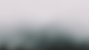 blur effect blurred loading progressively ngx